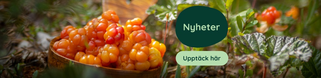 Nyheter